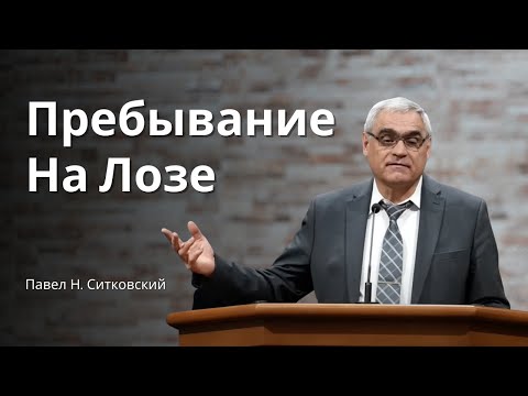 Видео: Пребывать На Лозе и Приносить Плод || Проповедь – Павел Н. Ситковский