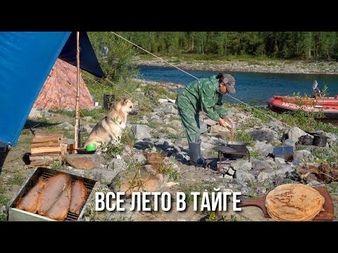 Видео: Таежная кухня - сезон 2022. Рыба в манке, малосол и горячее копчение. Блины. Суп. Яичница. ч1