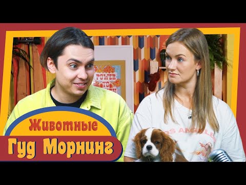Видео: ГУД МОРНИНГ: ЖИВОТНЫЕ
