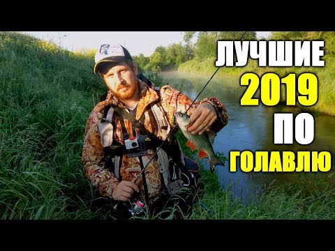 Видео: Воблеры-ОТКРЫТИЯ сезона по голавлю! (Жук, Megabass Baby Griffon, "Деревяшка") + воблеры-ветераны!