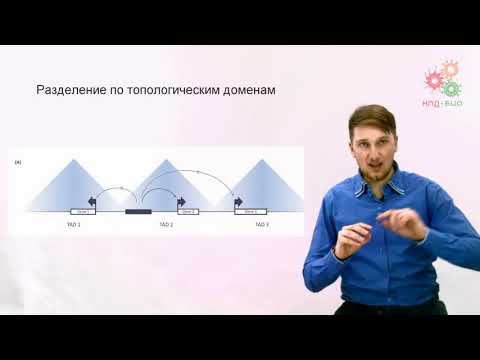 Видео: Регуляция работы генов. Регуляция транскрипции у эукариот. Часть 2