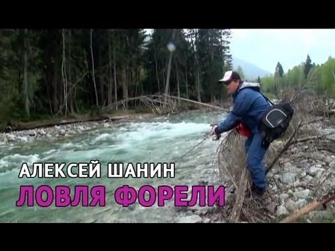 Видео: Ручьевая Форель. Алексей шанин