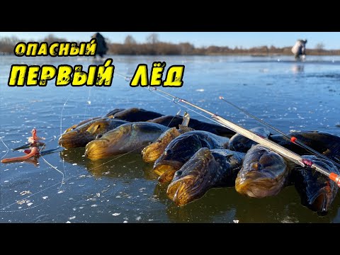 Видео: ПЕРВЫЙ ЛЁД ТРЕЩИТ, а я УЖЕ ловлю этого Демона! ОПАСНЫЙ ПЕРВОЛËДОК! Зимняя рыбалка на РОТАНА 2025-26