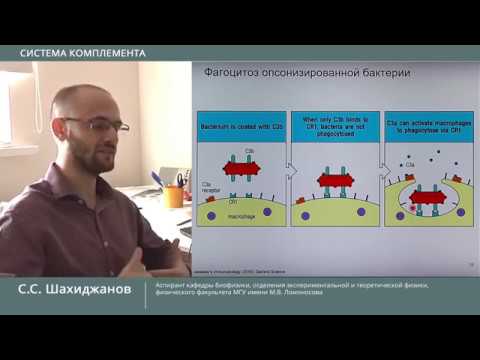 Видео: Система комплемента