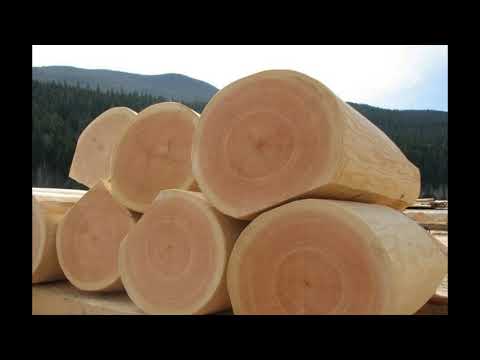 Видео: Баня-бочка: Почему только из кедра?