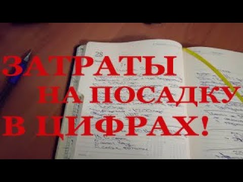 Видео: ЭКОНОМИКА ЧЕСНОКА. ЗАТРАТЫ на посадку в ЦИФРАХ от А до Я!