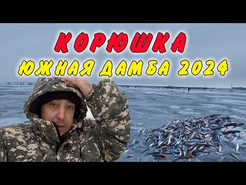 Видео: Корюшка. Ловля на южной дамбе финский залив. Крупная корюшка 2024.