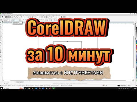 Видео: CorelDRAW для начинающих. Первый урок. ОСНОВНЫЕ ИНСТРУМЕНТЫ.