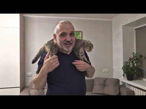 Видео: Вес и длина котят Шанель в 14 дней 😊