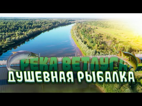 Видео: Рыбалка. 2е сентября. Река Ветлуга.