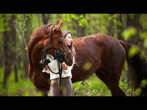 Видео: КАК Я КУПИЛА ЛОШАДЬ 🐴ЧАСТЬ II 🐴 / ветчек, дорога, новое место