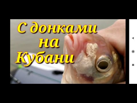 Видео: Рыбалка на реке Кубань.Ловля на донки с лодки в октябре!