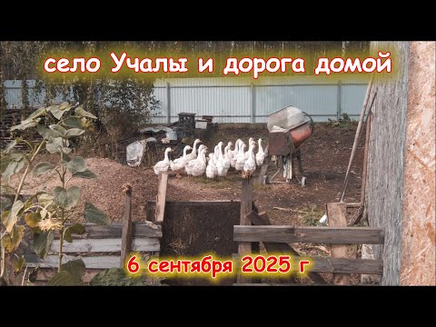 Видео: Дорога Учалы-Челябинск 6 сентября 2025 г