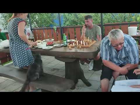 Видео: Охлаждение и вентиляция погреба