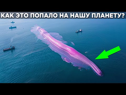 Видео: Ученые В Тупике! Они Не Понимают КАК Этот ОБЪЕКТ Оказался На Нашей ПЛАНЕТЕ!