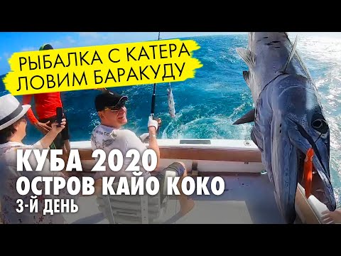 Видео: Рыбалка на Кубе. Ловим барракуду с катера. День третий на Кайо Коко. Куба 2020.