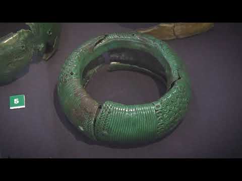 Видео: Брянский клад