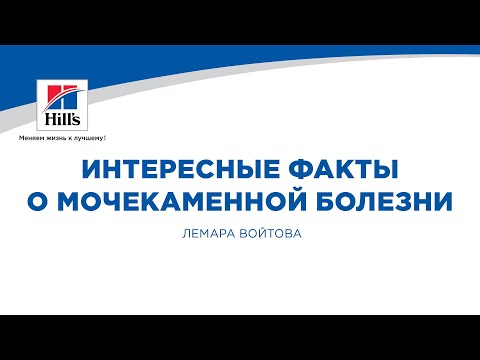 Видео: Вебинар на тему: «Интересные факты о мочекаменной болезни». Лектор – Лемара Войтова.