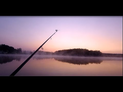 Видео: ЛОВЛЯ КАРПА НА СЛАДКУЮ ВОЗДУШНУЮ ПШЕНИЦУ(КАРАМЕЛЬ)  РЫБАЛКА В КОКИНО (ОСНОВНОЙ)