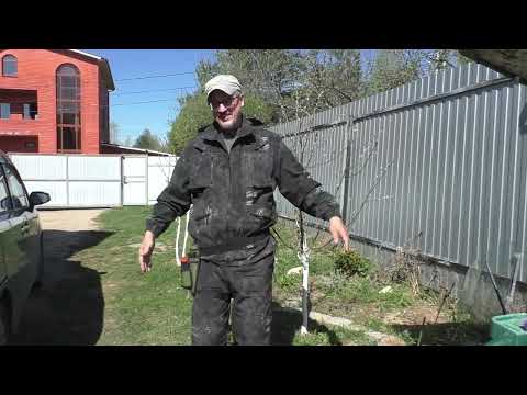 Видео: СУМКА И КОРОБКА ДЛЯ НАХОДОК!