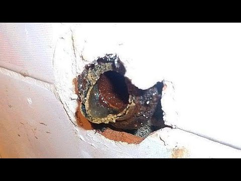 Видео: ☑️КАК ВЫКРУТИТЬ СЛОМАННУЮ ЧАСТЬ РЕЗЬБЫ В ВОДОПРОВОДНОЙ ТРУБЕ ☝️ Будни Сантехника