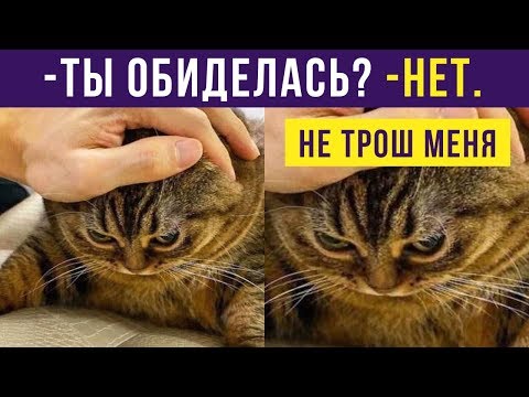 Видео: Приколы. НЕ ТРОШ МЕНЯ | Мемозг #159