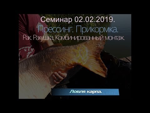 Видео: Ловля карпа. Дикий водоем. Подход рыбы. Оборудовние. Семинар в Хмельницком.