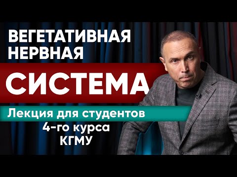 Видео: ЛЕКЦИЯ — Вегетативная Нервная Система - функция и дисфункция