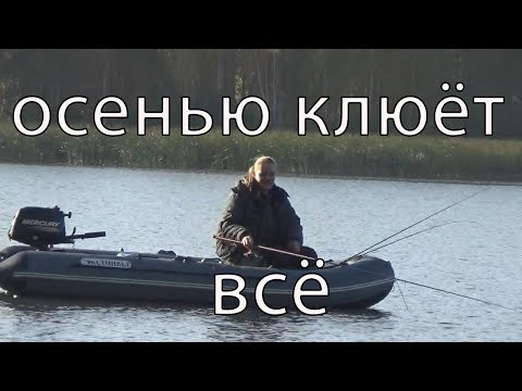 Видео: Белоярка. Осень.