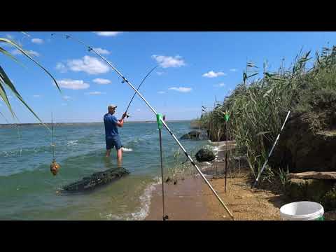 Видео: Позитивный выходной! Рыбалка и отдых на Хаджибейском лимане.