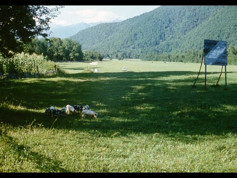 Видео: Привет из прошлого, продолжение. ПСХУ 1978г.