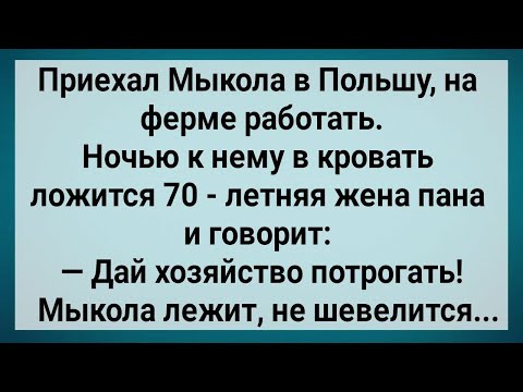 Видео: Как Мыкола в Польше с Женой Пана Спал! Сборник Свежих Анекдотов! Юмор!