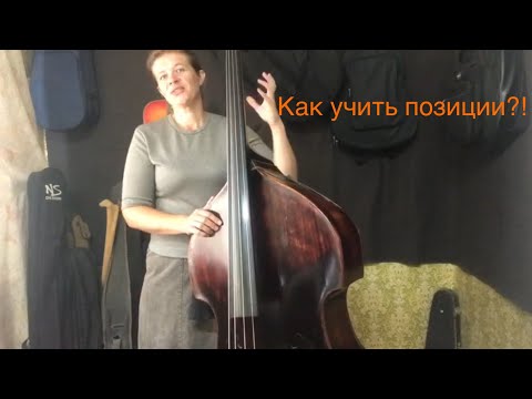 Видео: Как долго учить позицию?! Урок 81. Контрабас от А до Я.