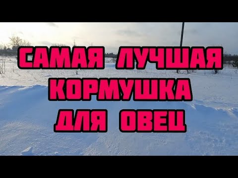 Видео: самая лучшая кормушка для овец , замело дорогу , черный петух жив , лпх с нуля.