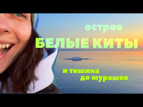 Видео: Карелия. Точка перезагрузки. Семья. Белухи. Без суеты