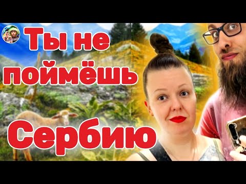 Видео: Особенности жизни в Сербии - как здесь жить😱