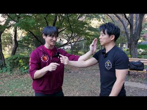 Видео: Вин Чун лицом к лицу: сравнение различий в линиях!