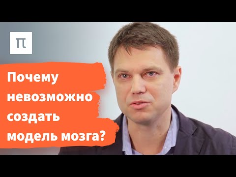 Видео: Динамика нейронных ансамблей – Александр Храмов / ПостНаука