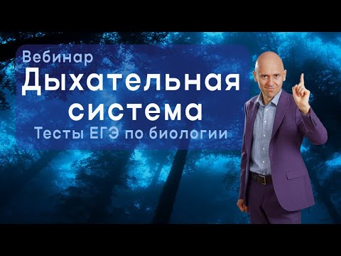 Видео: Дыхание и выделение. Задания ЕГЭ по биологии!