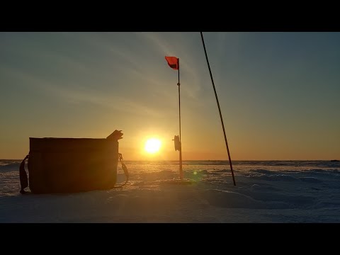 Видео: рыбалка Костанай,02.03.24, оз.речное