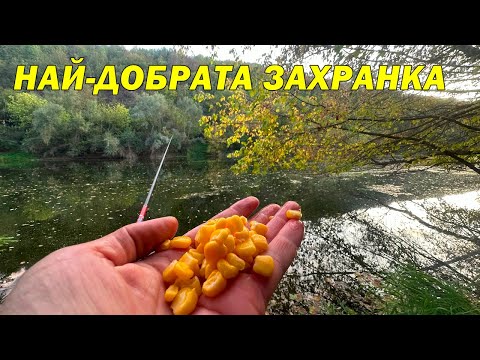 Видео: РИБОЛОВ на РЕКА с ПЛУВКА и СЛАДКА ЦАРЕВИЦА през ЕСЕНТА - ХВАНАХ и БОНУС РИБА, КОЯТО ме ИЗНЕНАДА