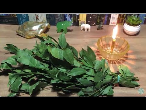 Видео: КАК ИСПОЛНЯТЬ ЖЕЛАНИЯ. ЛАВРОВЫЙ ЛИСТ. ИСПОЛНЕНИЕ ЖЕЛАНИЙ. ПРАКТИЧЕСКИЕ СОВЕТЫ.