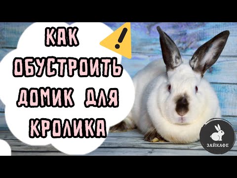 Видео: ВОЛЬЕР ДЛЯ КРОЛИКА | КАК ОБУСТРОИТЬ ДОМИК КРОЛИКУ | ЧТО НУЖНО ДЛЯ КРОЛИКА В КВАРТИРЕ