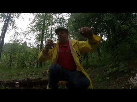 Видео: Чача Фанагория и шашлык у озера