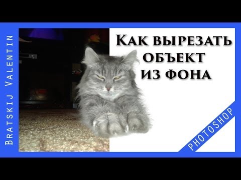 Видео: Photoshop CC Как вырезать объект из фона?