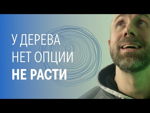 Видео: Ценность маленького шага. 27 день челленджа