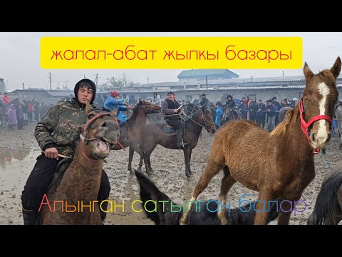 Видео: 26 октября Жалал-абат жылкы базар