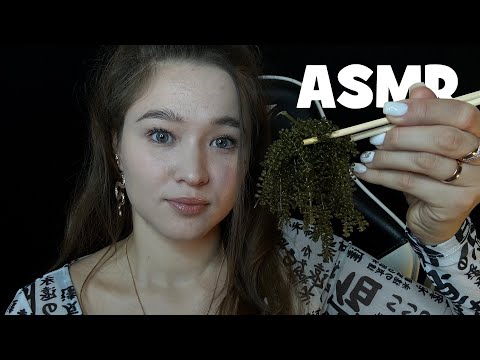Видео: АСМР итинг/мукбанг морского винограда