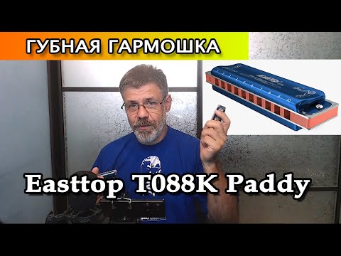 Видео: Губная гармошка Easttop T008K Paddy Richter