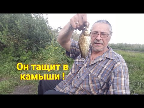 Видео: На рыбалке с ночевкой. Они меня достали ! Карась на поплавок тащит в камыши